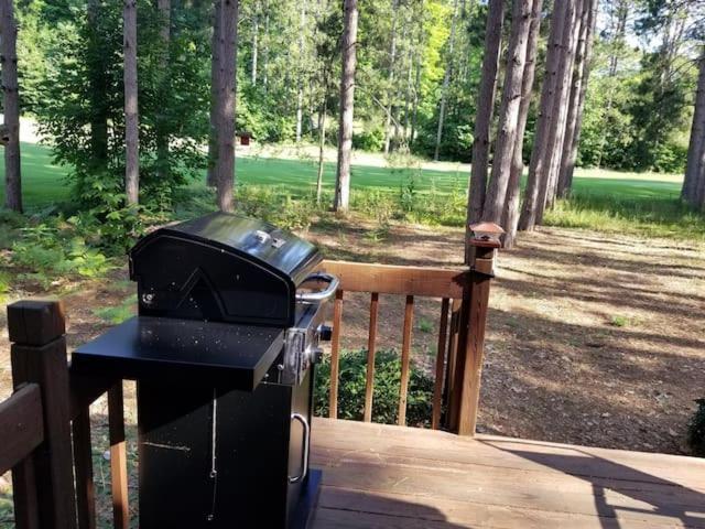 Crystal Mountain Cabin-Shuttle Pass Included! Thompsonville Esterno foto