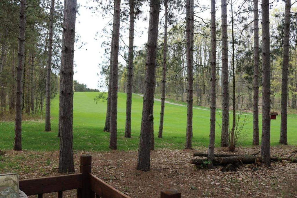Crystal Mountain Cabin-Shuttle Pass Included! Thompsonville Esterno foto